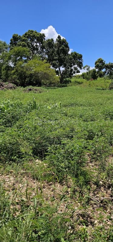 Vente Terrain à Saint-François 0 pièce