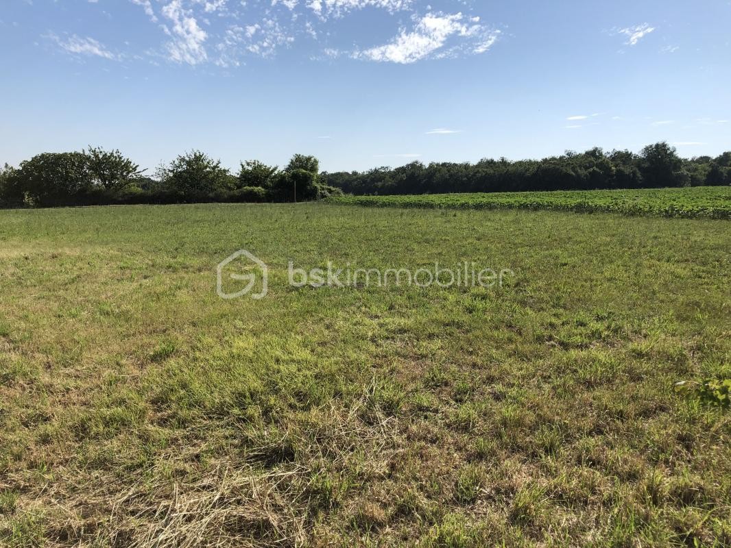 Vente Terrain à Mauzé-sur-le-Mignon 0 pièce