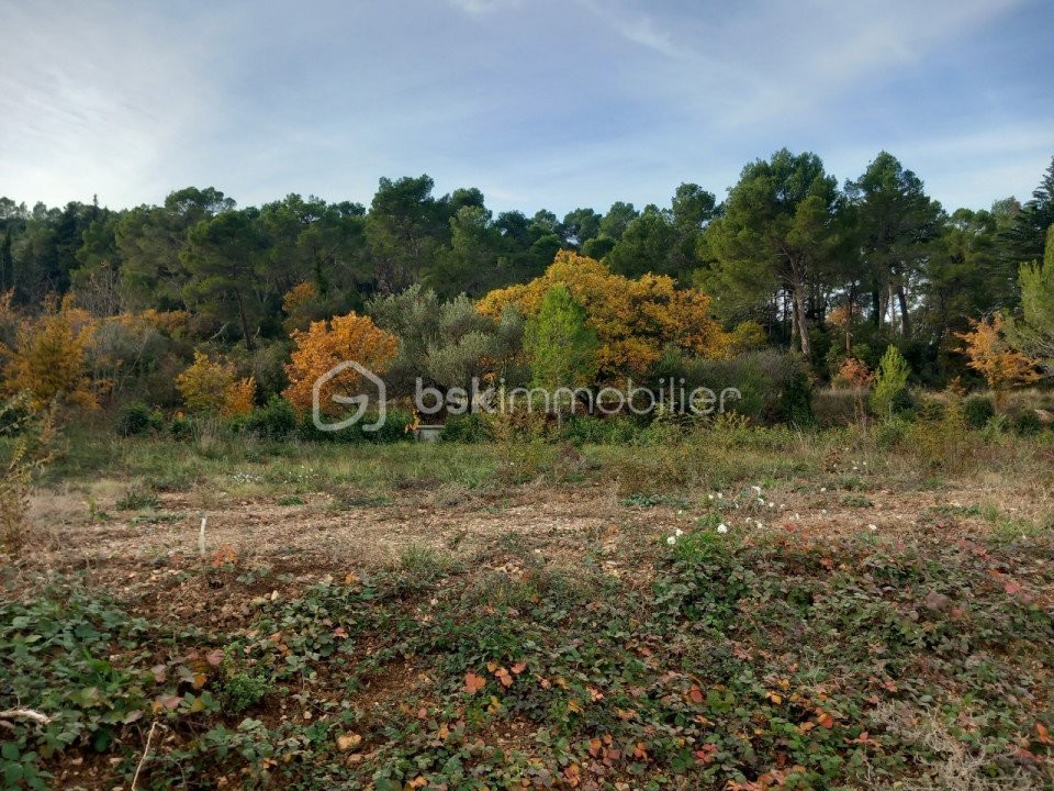 Vente Terrain à Clermont-l'Hérault 0 pièce