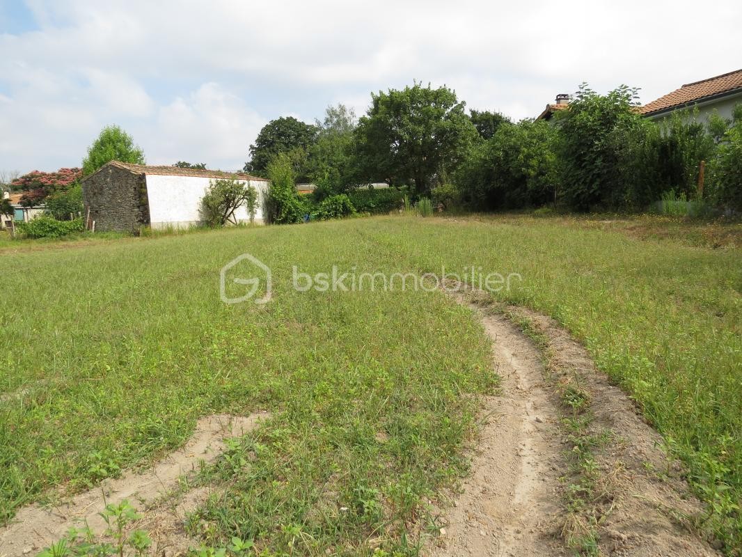 Vente Terrain à Azay-sur-Thouet 0 pièce