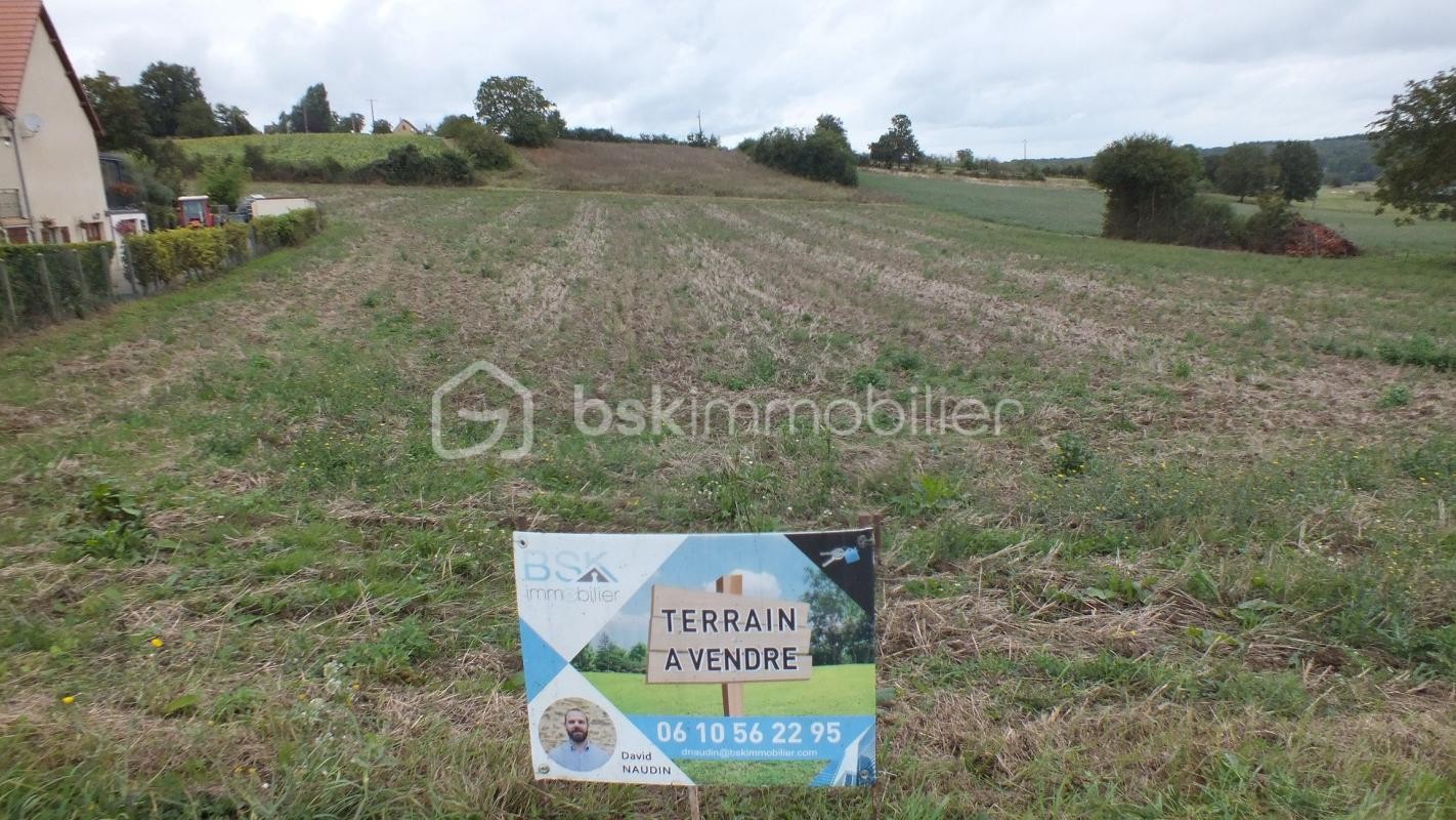 Vente Terrain à Pourrain 0 pièce