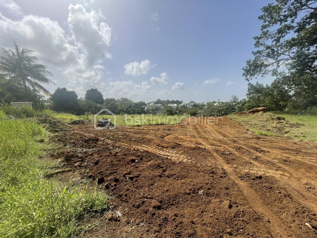 Vente Terrain à Petit-Bourg 0 pièce