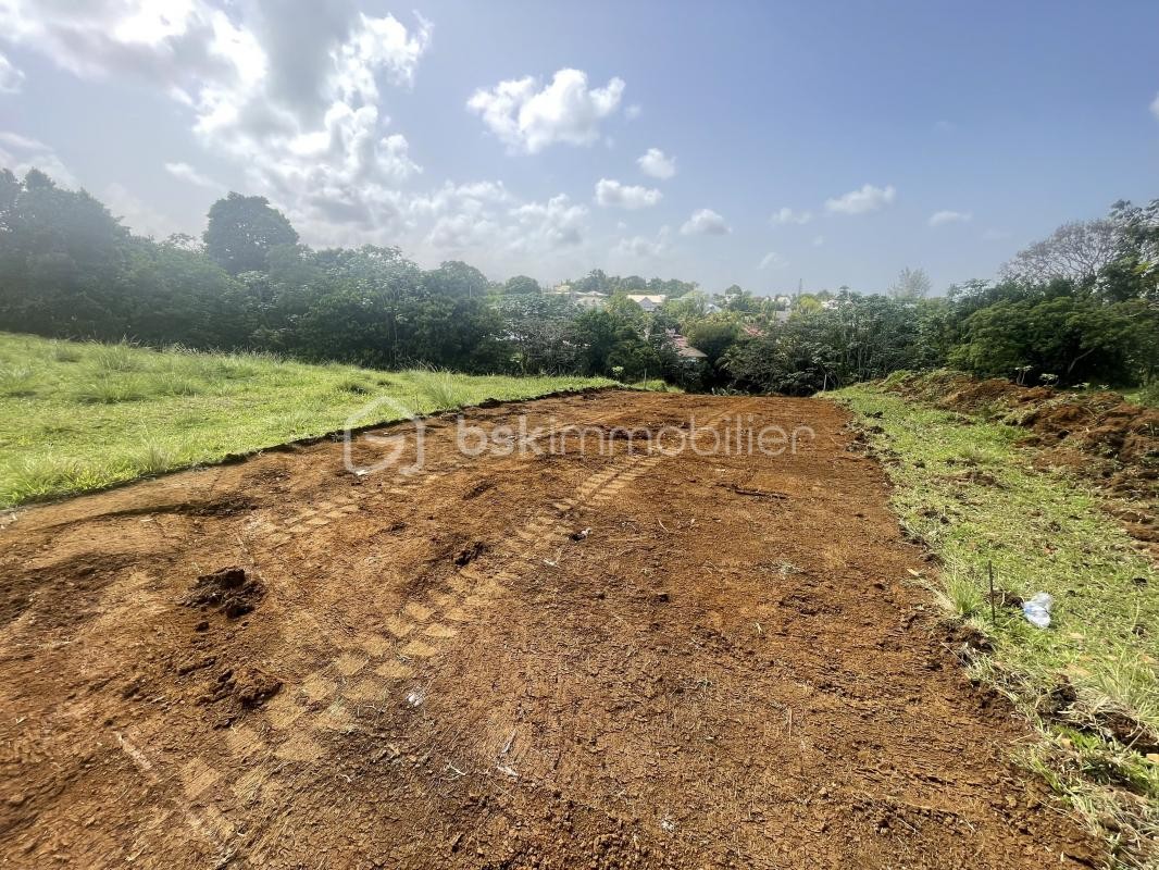 Vente Terrain à Petit-Bourg 0 pièce