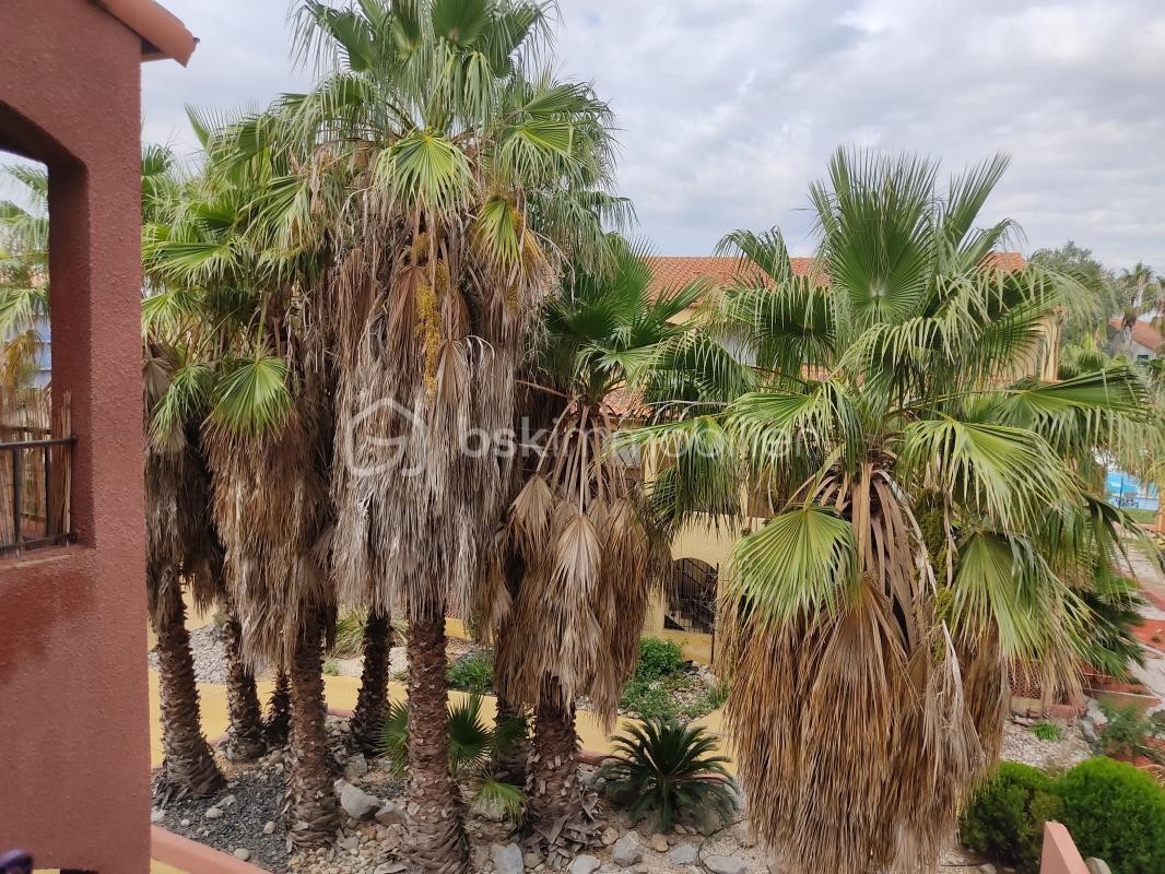 Vente Appartement à Canet-en-Roussillon 3 pièces