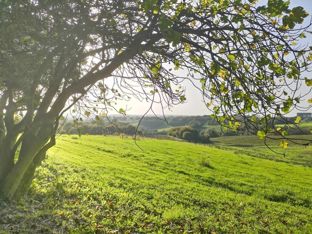 Vente Maison à Aignan 6 pièces