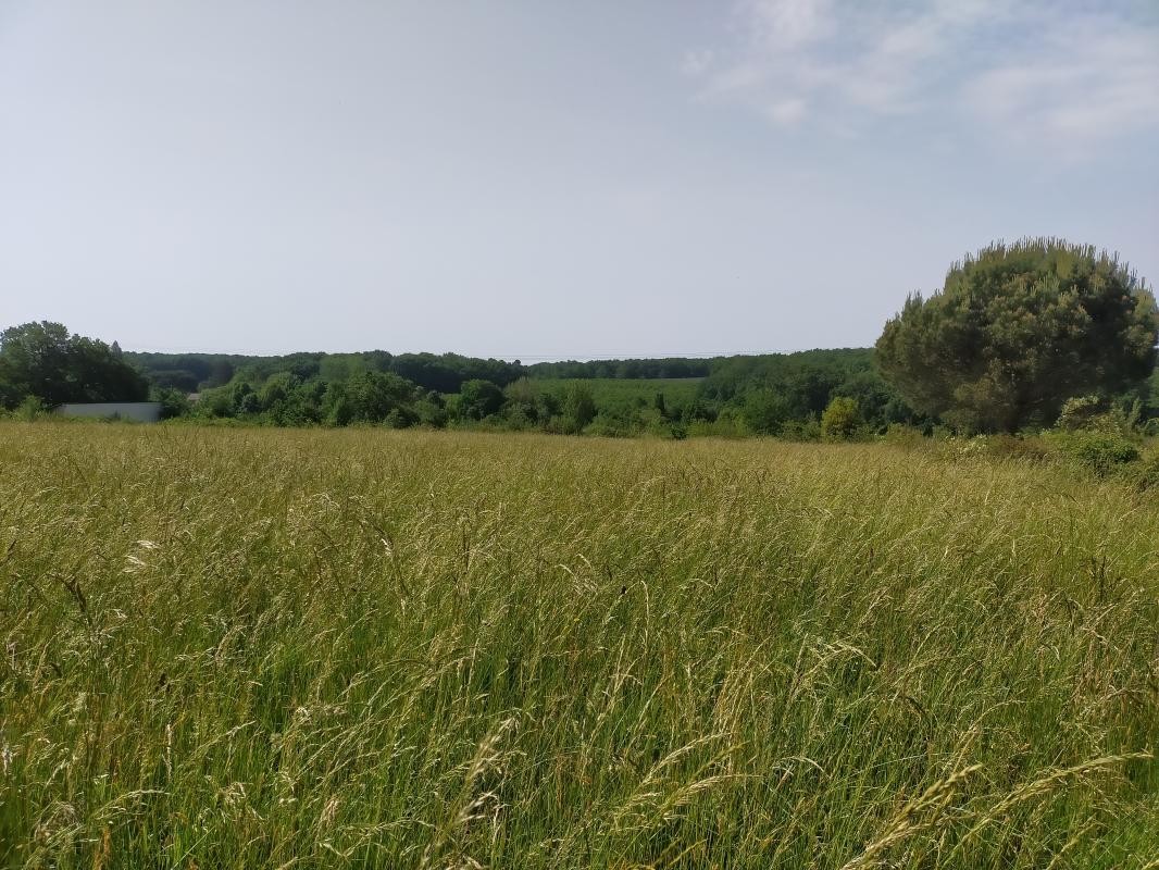 Vente Terrain à Condom 1 pièce