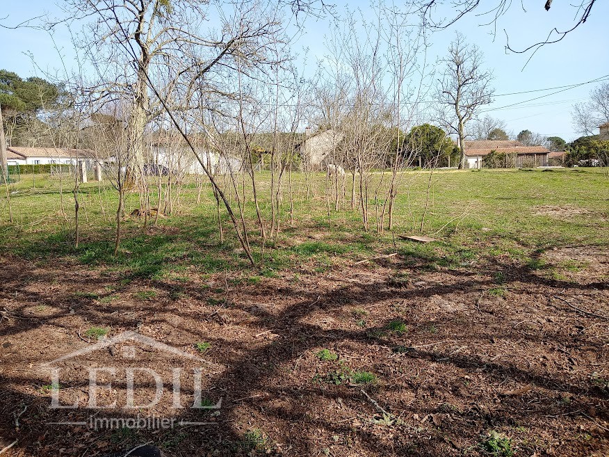 Vente Terrain à Bazas 1 pièce