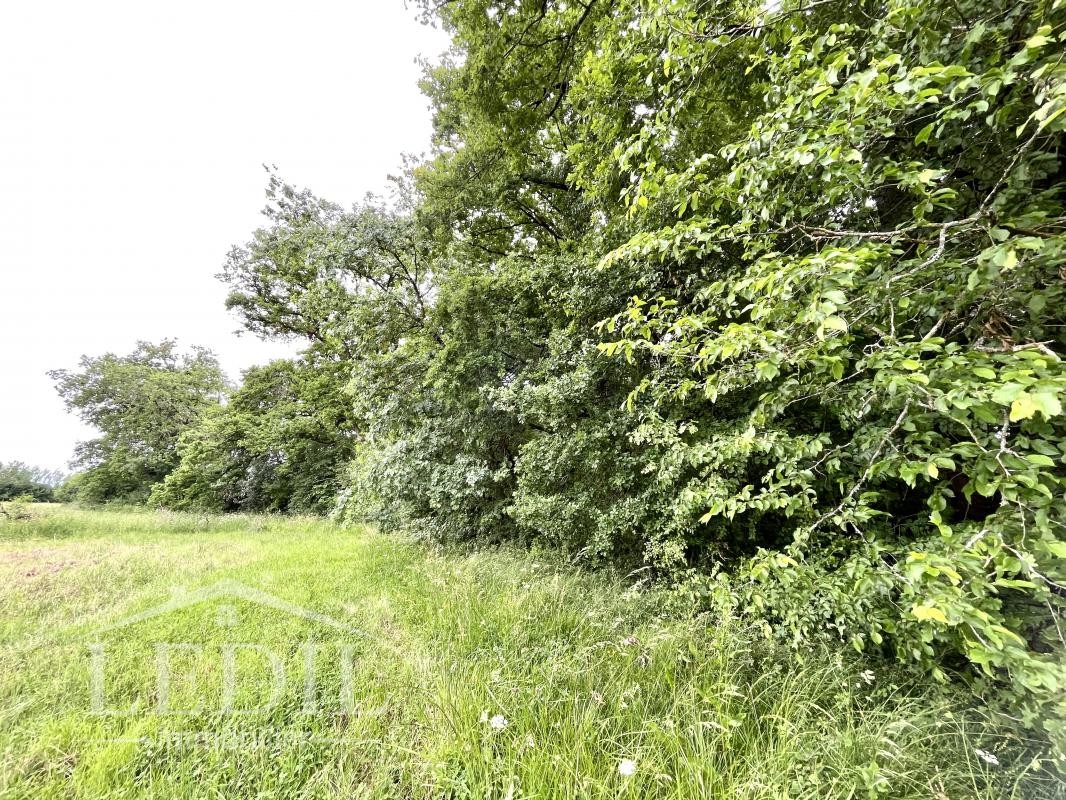 Vente Terrain à Condom 1 pièce