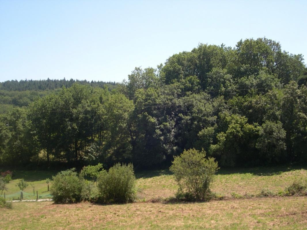 Vente Terrain à Maubourguet 0 pièce