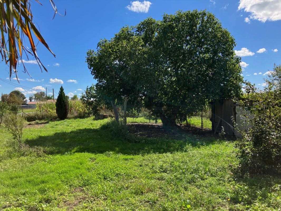 Vente Maison à Préchac-sur-Adour 4 pièces