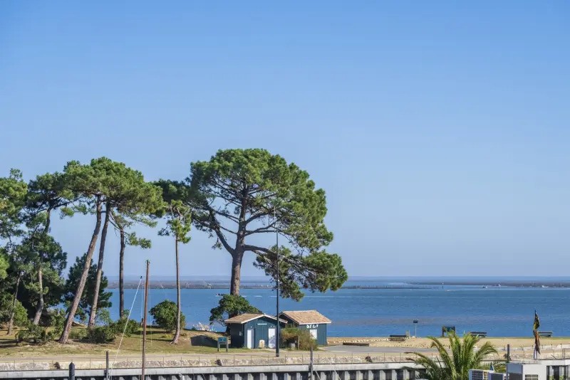 Vente Appartement à Lège-Cap-Ferret 0 pièce