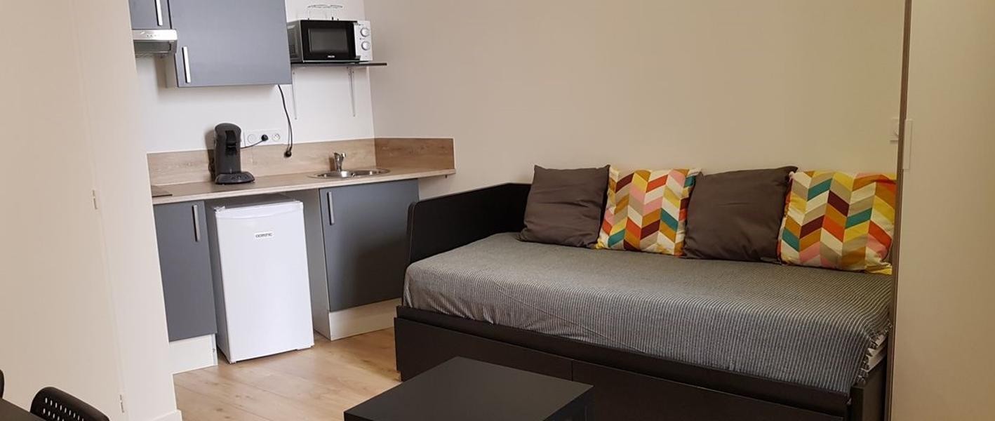 Location Appartement à Lyon 1 pièce