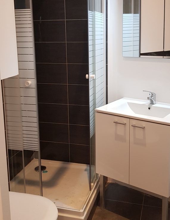 Location Appartement à Lyon 1 pièce