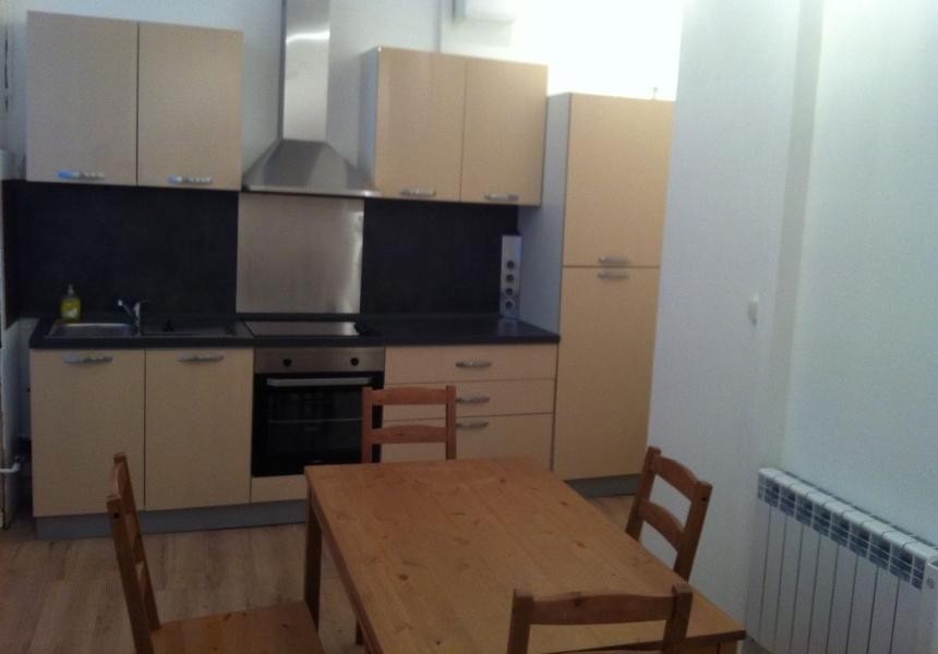 Location Appartement à Lyon 1 pièce