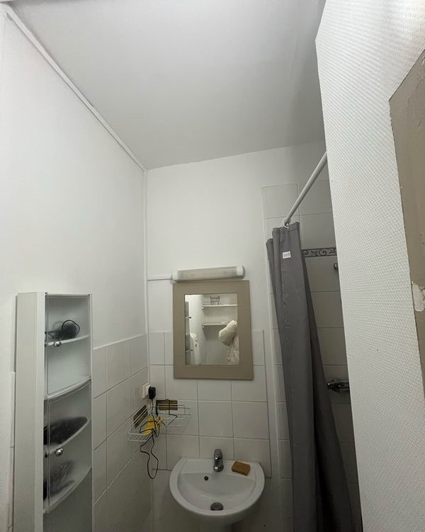 Location Appartement à Lyon 1 pièce