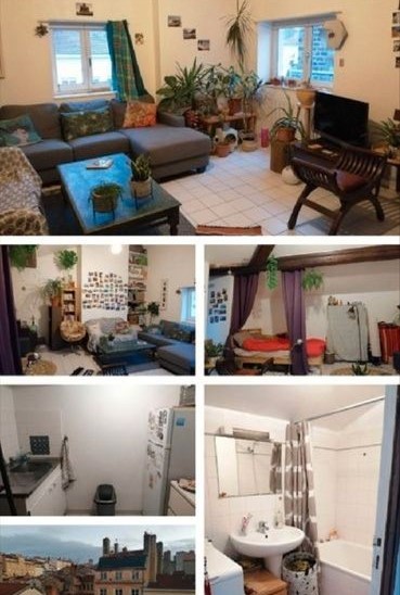 Location Appartement à Lyon 1 pièce