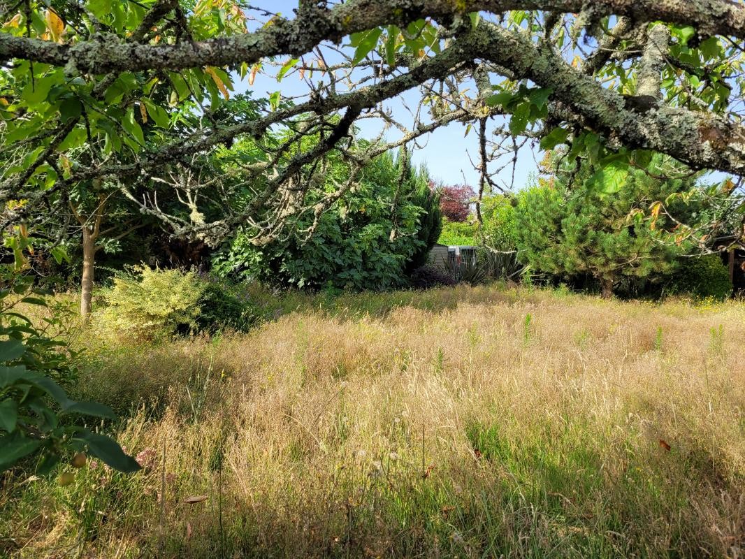 Vente Terrain à Andernos-les-Bains 0 pièce