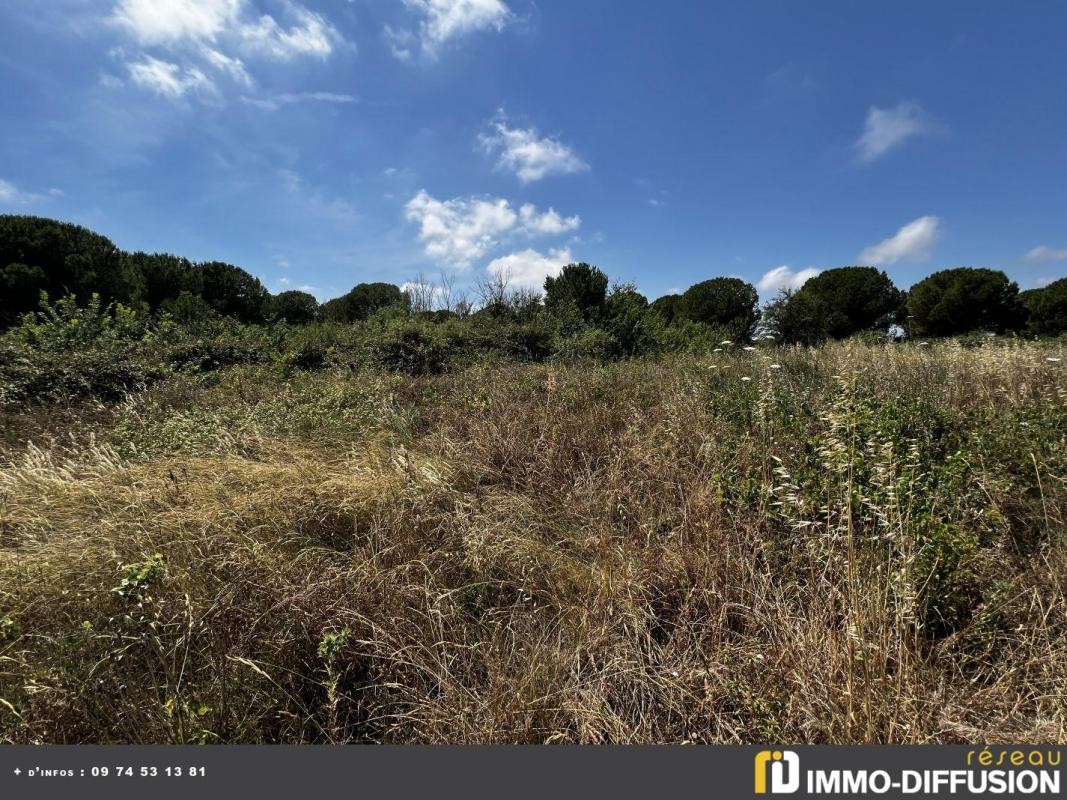 Vente Terrain à Marseillan 0 pièce