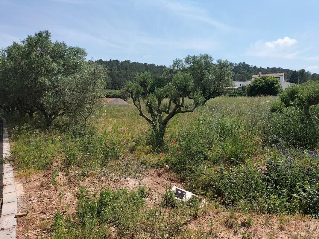 Vente Terrain à Clermont-l'Hérault 0 pièce