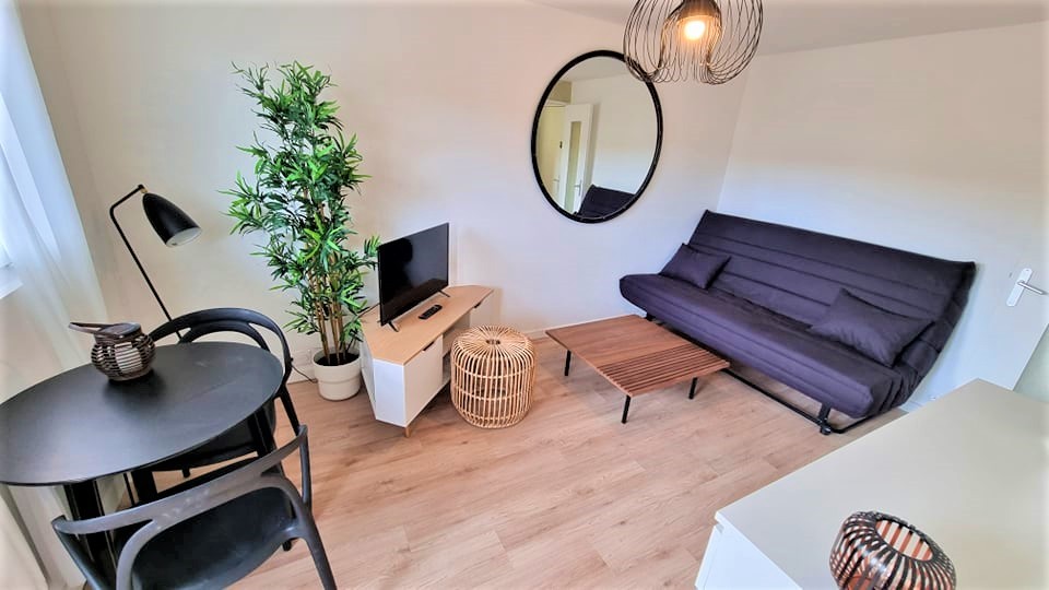 Location Appartement à Montpellier 1 pièce