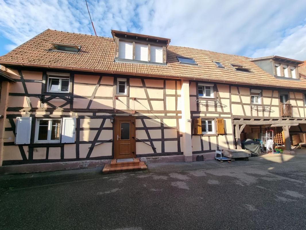 Vente Appartement à Mommenheim 10 pièces