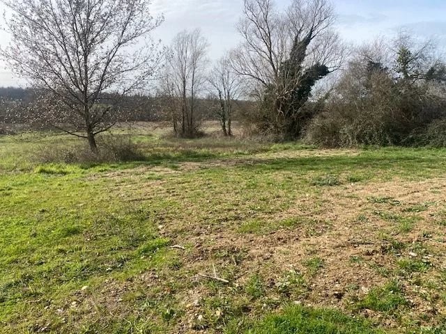 Vente Terrain à Montauban 0 pièce