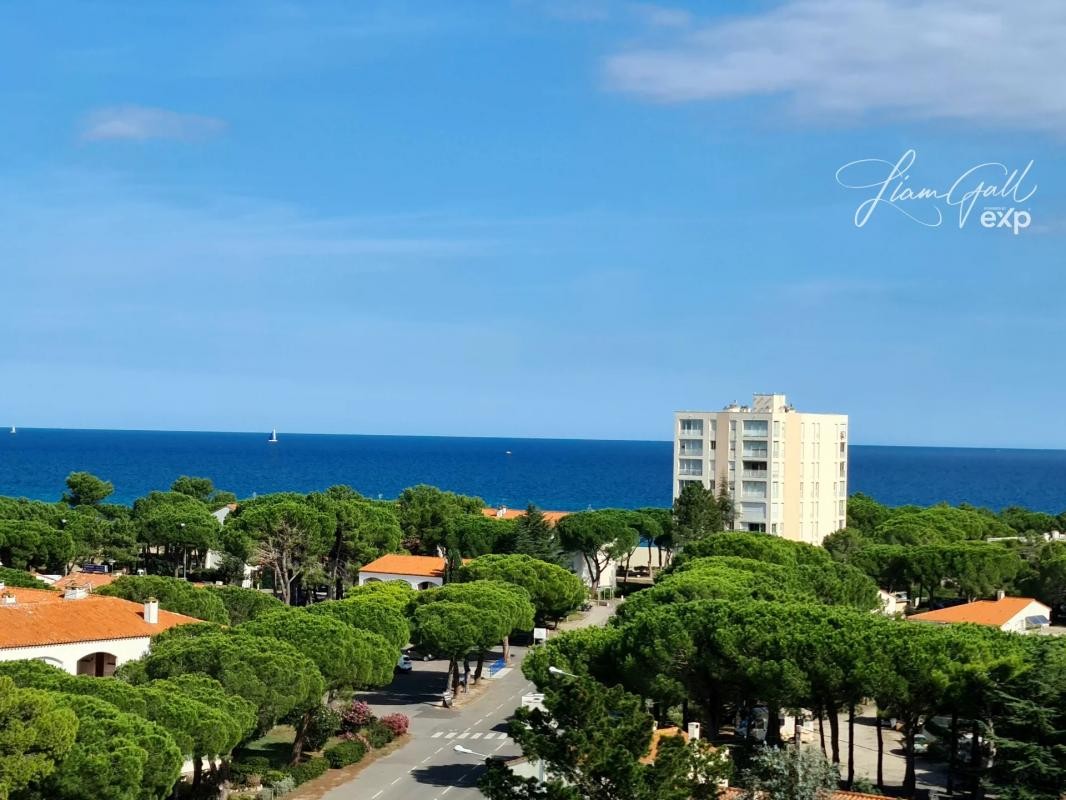 Vente Appartement à Argelès-sur-Mer 2 pièces