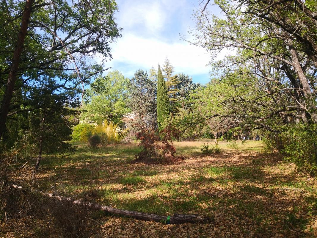 Vente Terrain à Pierrevert 0 pièce