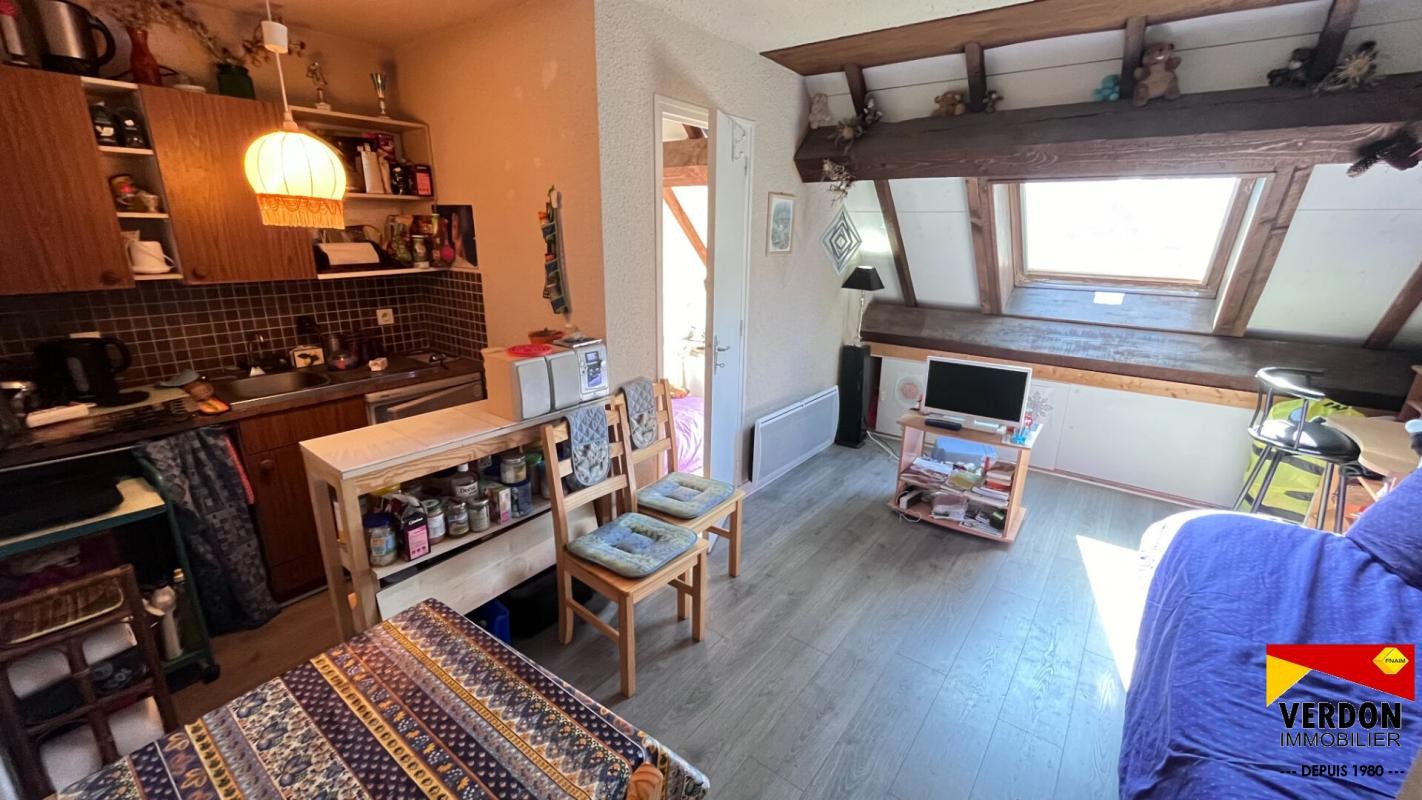 Vente Appartement à Allos 1 pièce