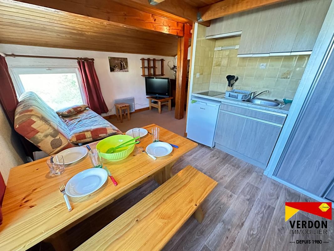 Vente Appartement à Allos 1 pièce