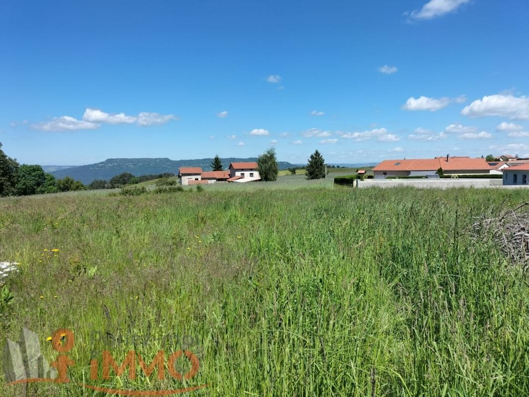 Vente Terrain à Saint-Maurice-de-Lignon 0 pièce