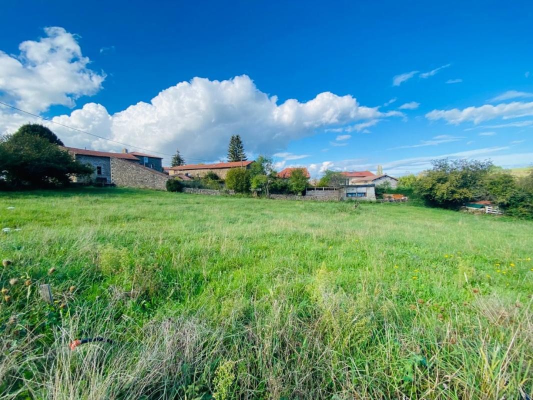 Vente Terrain à Monistrol-sur-Loire 0 pièce