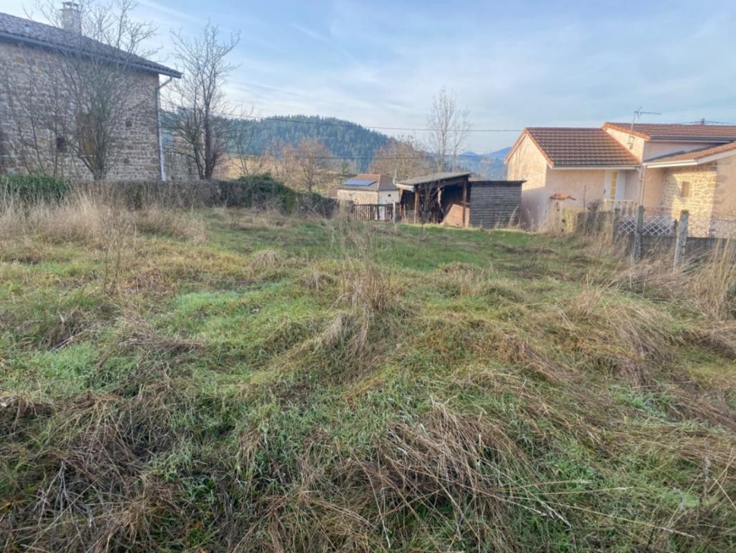 Vente Terrain à Monistrol-sur-Loire 0 pièce