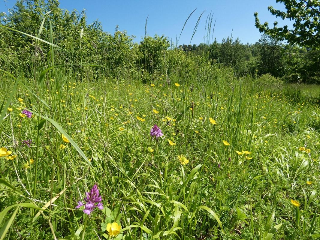 Vente Terrain à Puylaroque 0 pièce