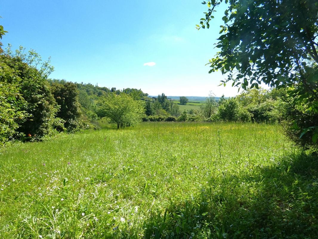 Vente Terrain à Puylaroque 0 pièce