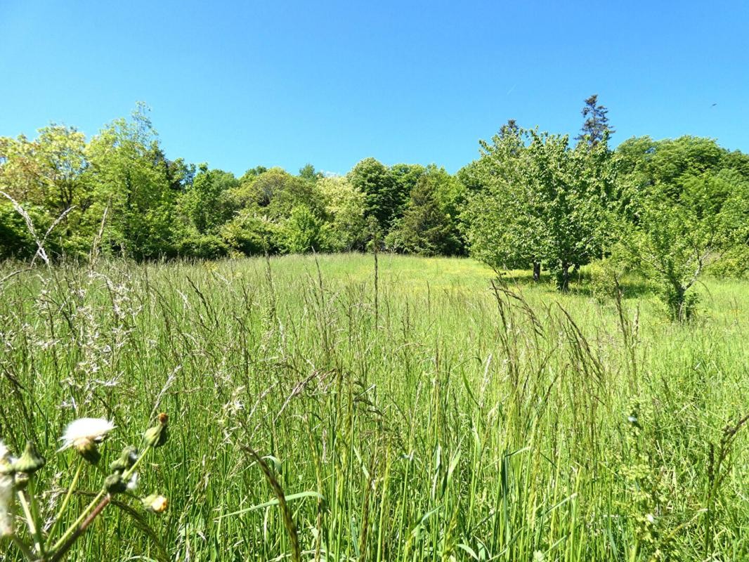 Vente Terrain à Puylaroque 0 pièce