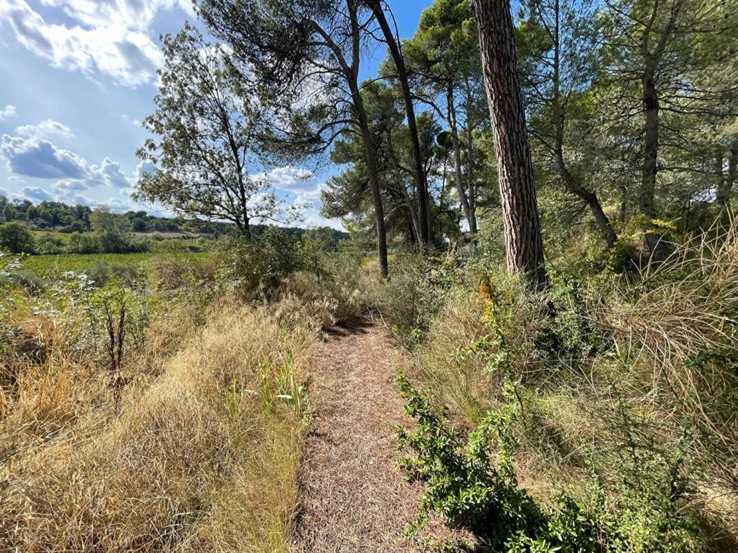 Vente Terrain à Rieux-Minervois 0 pièce