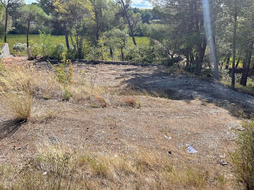 Vente Terrain à Rieux-Minervois 0 pièce