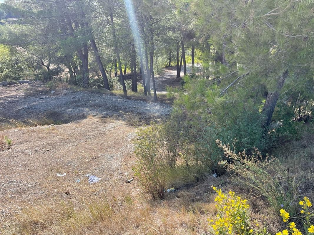 Vente Terrain à Rieux-Minervois 0 pièce