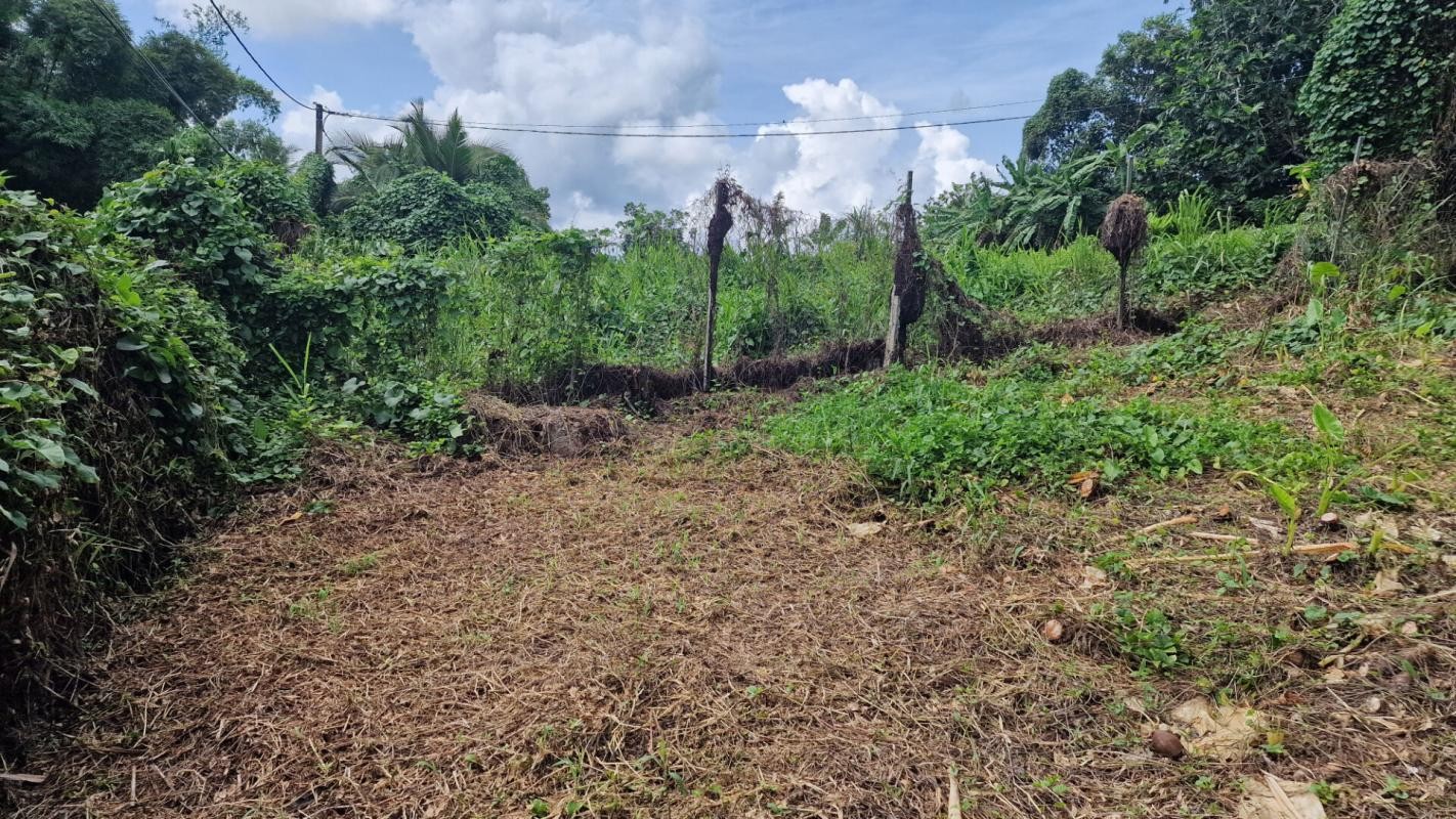 Vente Terrain à Lamentin 0 pièce