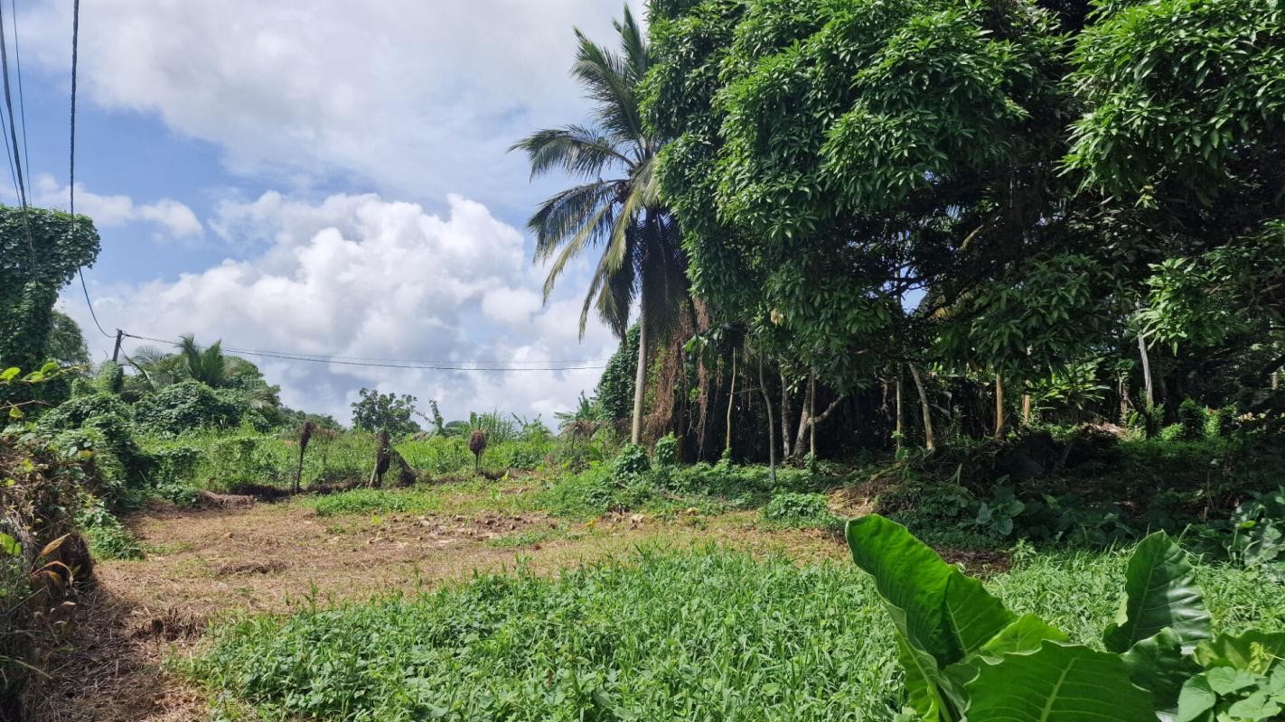 Vente Terrain à Lamentin 0 pièce