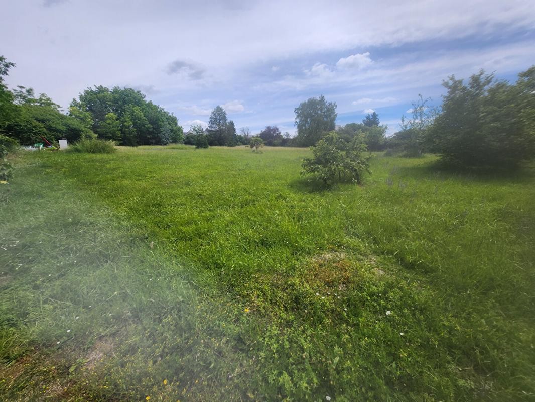 Vente Terrain à Azay-le-Rideau 0 pièce