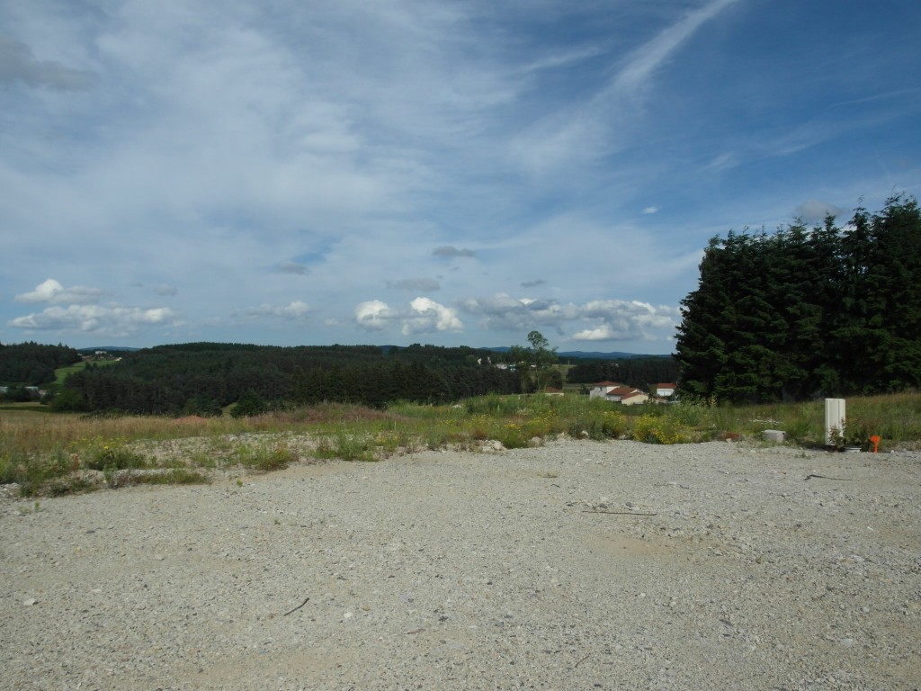 Vente Terrain à Sainte-Sigolène 0 pièce