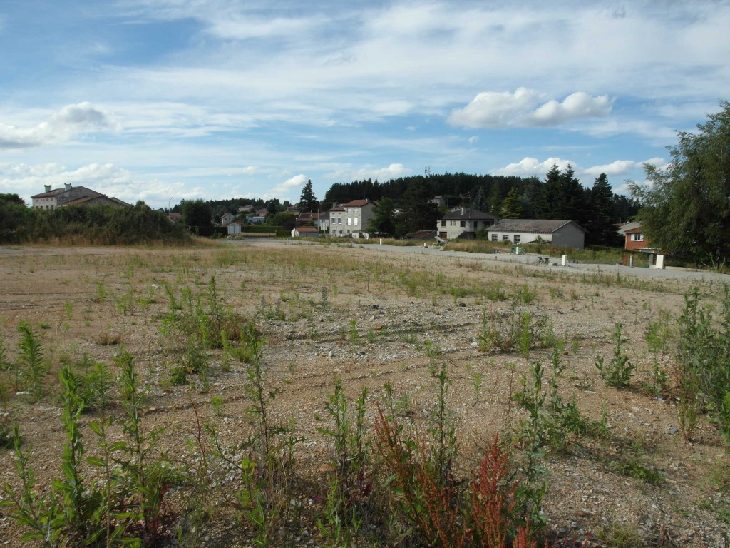 Vente Terrain à Sainte-Sigolène 0 pièce