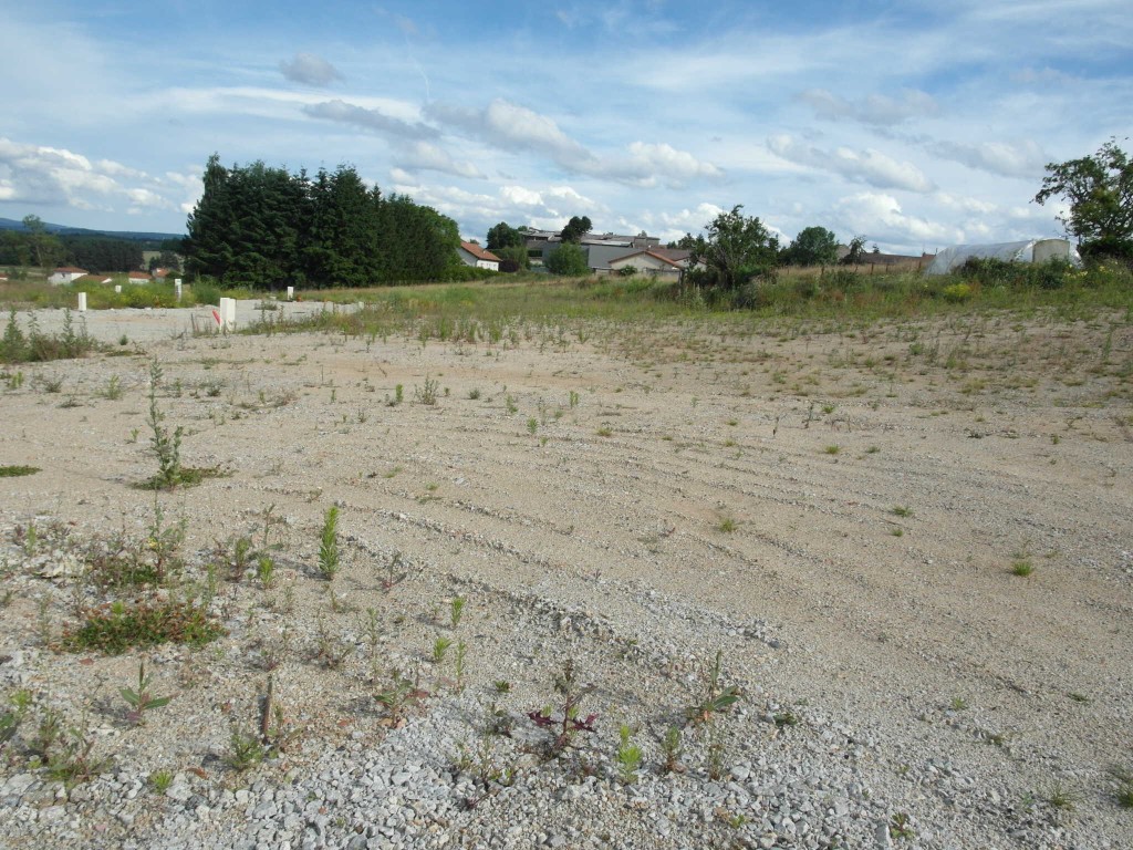 Vente Terrain à Sainte-Sigolène 0 pièce