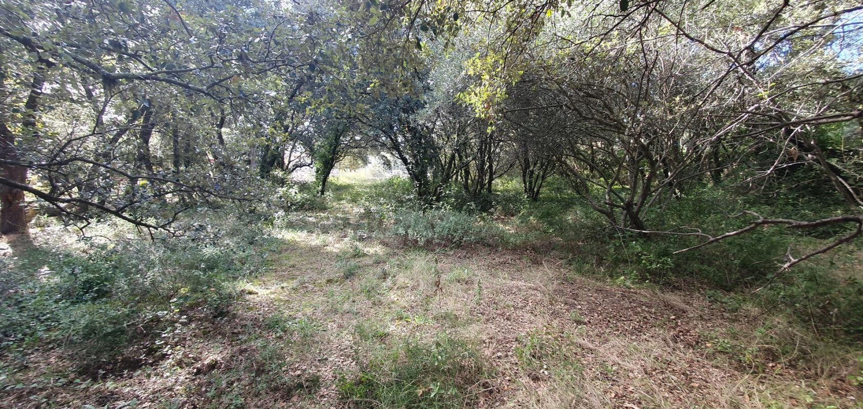 Vente Terrain à Uzès 0 pièce