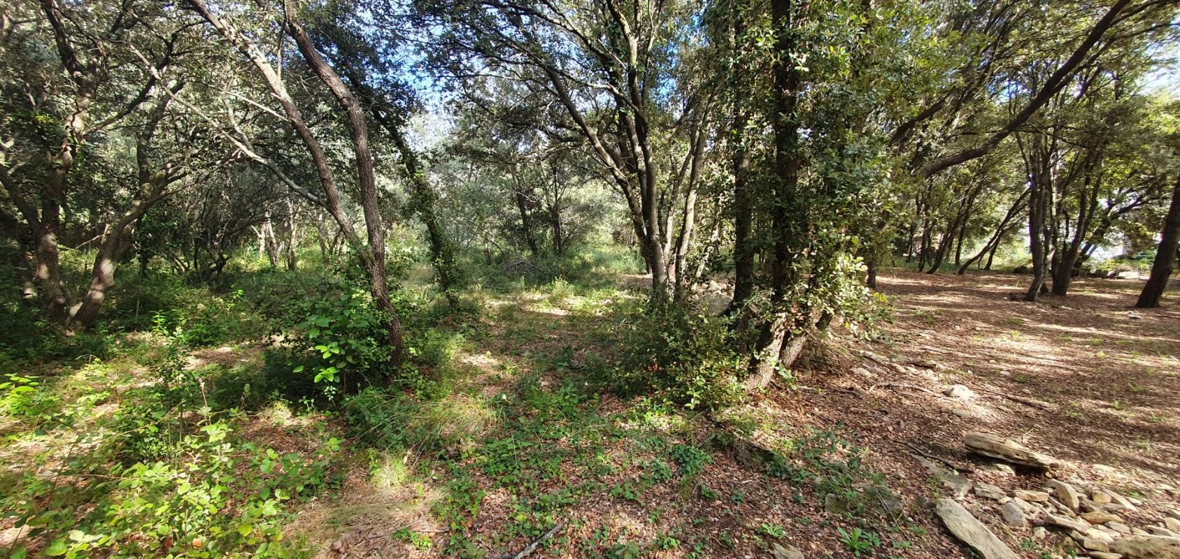 Vente Terrain à Uzès 0 pièce