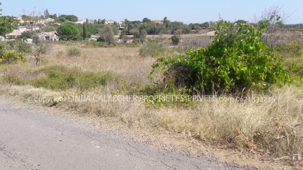 Vente Terrain à Pézenas 0 pièce