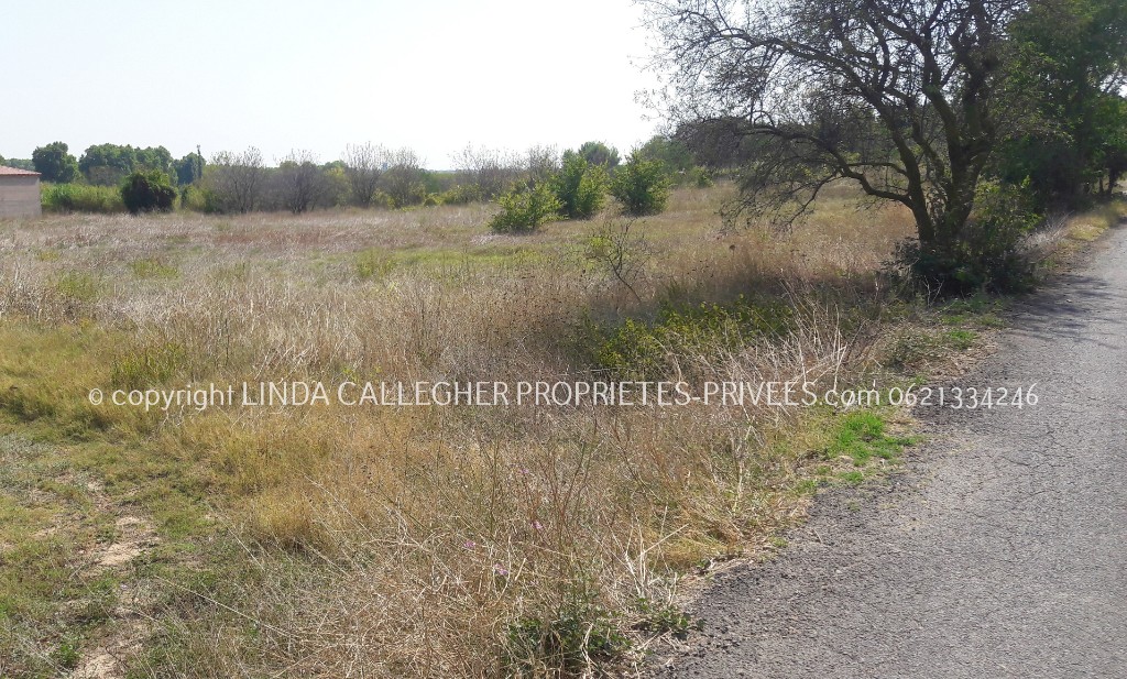 Vente Terrain à Pézenas 0 pièce