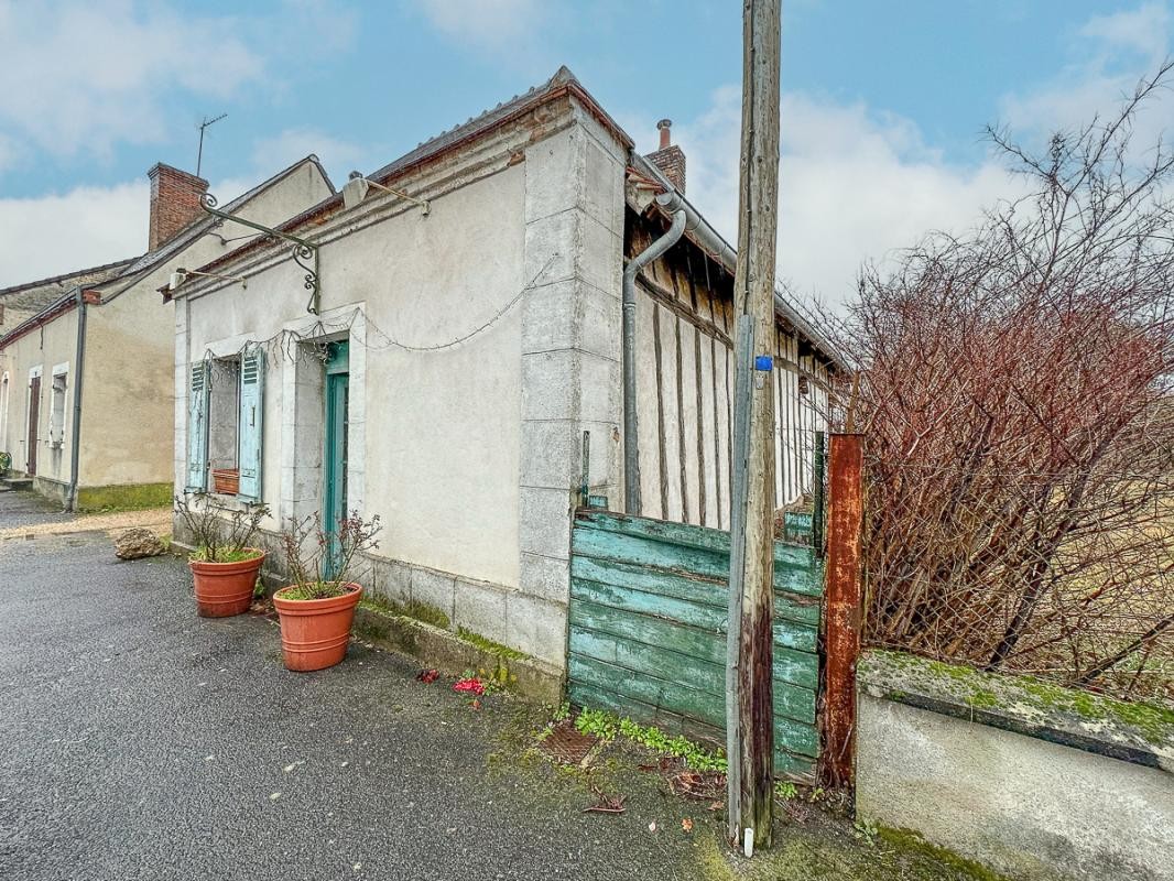 Vente Maison à Nançay 4 pièces